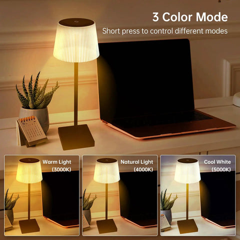 Cordless Rechargeable Table Lamp With USB Charging, Touch Dimmer, 3 Color Modes, Black Finish in living room setup