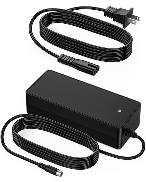 42V Electric Bike Charger With RCA Plug