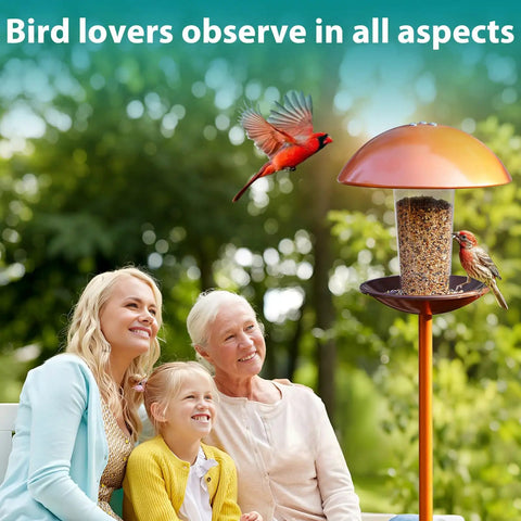 Must Have Durable Metal Bird Feeder On A Sturdy Stand Pole For Outdoor Yard Garden And Patio Decor with birds feeding