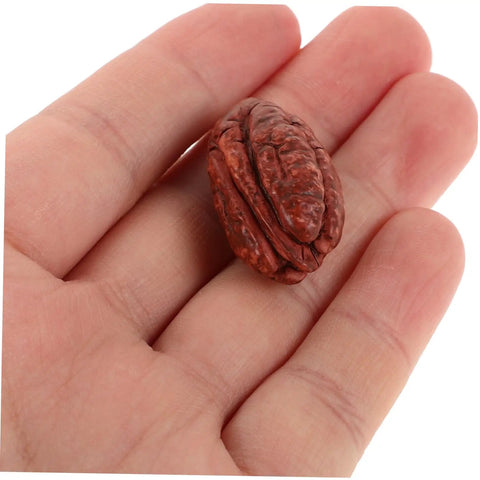 Realistic Faux Walnut Mini Nuts Set For Dollhouse And Miniature Food Photography Props Diy Crafts Home Decor Front view in hand