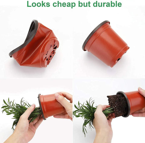 Collapsible plastic seed starter pot with plant, showcasing flexibility and soil release, labeled cheap but durable.