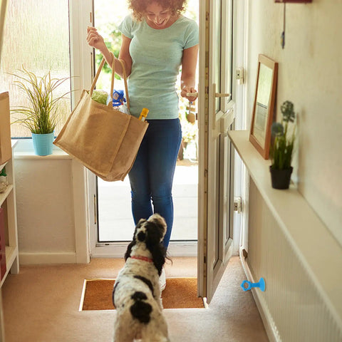 Sixteen Pack Silicone Door Stopper With Suction Cup Silent Door Stop Easy To Install in use, woman entering with dog