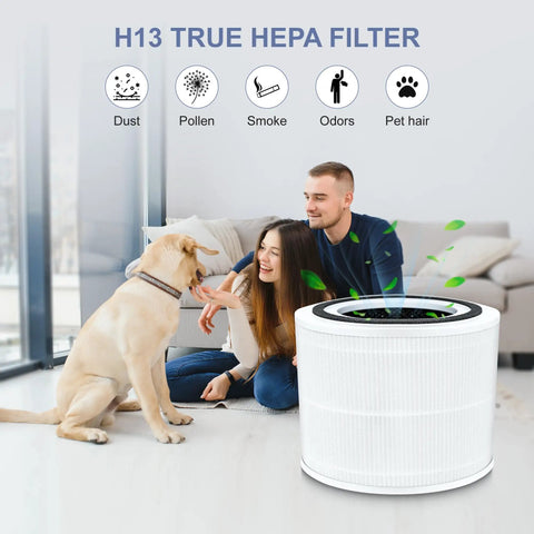 Two Pack HEPA 14 Replacement Filters For 240 Purifier with 3 in 1 Filtration System next to couple and dog in living room