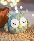 Owl Crochet Kit For Beginners DIY Friendly No Fuss With Step By Step Video Tutorials All In One Tools Set Yarn Safety Eyes And Stuffing
