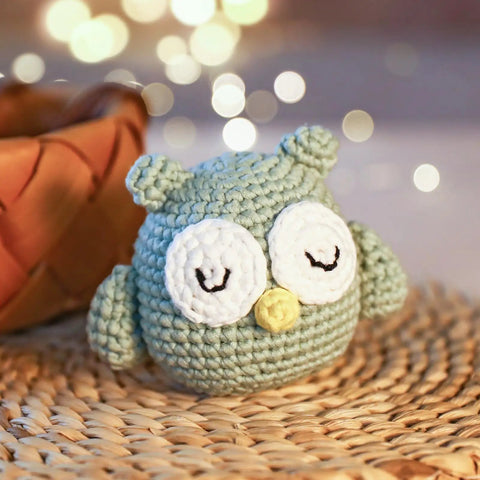 Owl Crochet Kit For Beginners DIY Friendly No Fuss With Step By Step Video Tutorials All In One Tools Set Yarn Safety Eyes And Stuffing