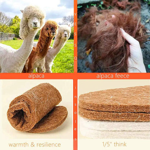 Image collage of alpacas and alpaca fleece, showcasing Cozy Alpaca Wool Felt Insoles For Winter Boots, 80 20 Alpaca Wool Blend, Natural Felt Insert For Extra Warmth And Cushioned Support, Unisex Fit For Men Size 9 And Women Size 10