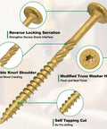 Six Inch Legit Heavy Duty Outdoor Deck Screws Crafted From Premium Alloy Steel Acq Compatible And Hella Rust Resistant Wood Fasteners showing serration and truss head.