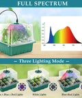 Indoor Seed Starter Kit With Grow Light 60 Flexible Cells 5 Pack Reusable Germination Trays Humidity Dome High Lid 8 LED Full Spectrum