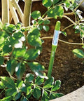 Bundle Of 2 Small Green Refillable Soil Moisture Meters For Indoor Potted Plants Leave In Probes That Continuously Track Soil Moisture Humidity And Water Level For Succulents And Small Pots No Fuss green probe in potted plant soil