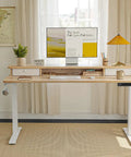 Fezibo 48 By 24 Electric Standing Desk With Double Drawers Maple Finish height adjustable with monitor and decor in home office.