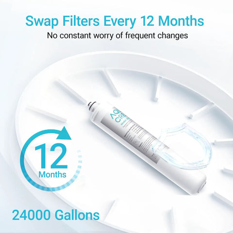 Under Sink Water Filter Replacement For Everpure H300 Series 24,000 Gallons displayed with 12-month usage symbol