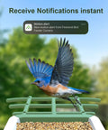 Solar Powered Bird Feeder With Camera For Outdoor Use AI Recognition And Real Time Alerts Wireless Bird House Viewable On Your Phone displaying a motion alert, with a bluebird perched on the feeder against a blurred nature background.