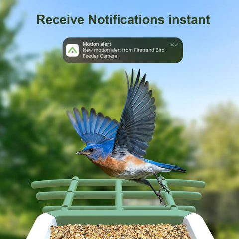 Solar Powered Bird Feeder With Camera For Outdoor Use AI Recognition And Real Time Alerts Wireless Bird House Viewable On Your Phone displaying a motion alert, with a bluebird perched on the feeder against a blurred nature background.