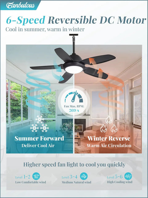 42 Inch Outdoor Waterproof Ceiling Fan With Lights And Remote For Patios And Pergolas IP65 Wet Rated Black 6 Speed DC Motor
