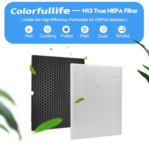 Two Pack Replacement Filters Kit For Winix 5500-2 AM80 Plasmawave Air Purifier 116130 Replacement Filter H showing HEPA and carbon filters