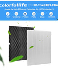Two Pack 116130 Replacement Filter H For Winix 5500-2 Air Purifier, True HEPA Filter And Activated Carbon Filter Combo Pack
