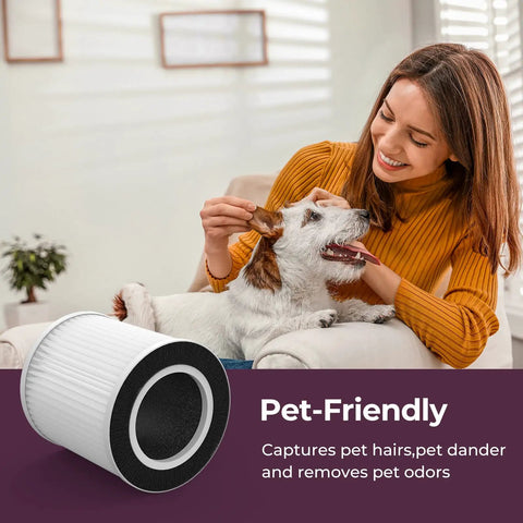 Woman with dog and Replacement H13 True HEPA Filter For B-D02L Air Purifier Easy Install Captures Dust Pollen Smoke Odors Pet Dander