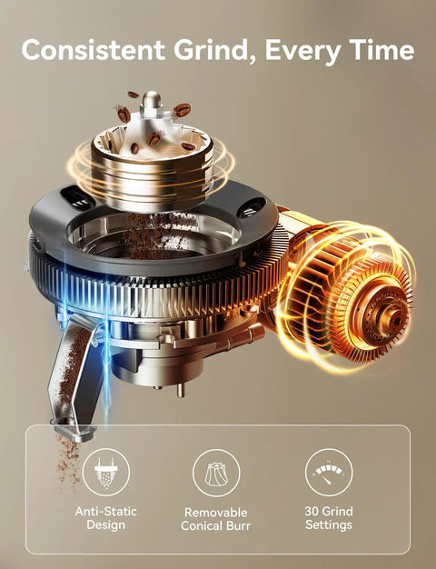 All In One Espresso Machine With Grinder 58mm Cafe Style 2026 Upgrade Anti Static Grinder mechanism in stainless steel