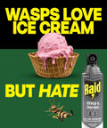 Straight Shooting Flying Insect Killer Spray For Wasps And Hornets With A Powerful Jet Stream Two 14 Oz Cans next to ice cream with vibrant text.