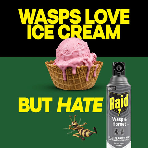 Straight Shooting Flying Insect Killer Spray For Wasps And Hornets With A Powerful Jet Stream Two 14 Oz Cans next to ice cream with vibrant text.