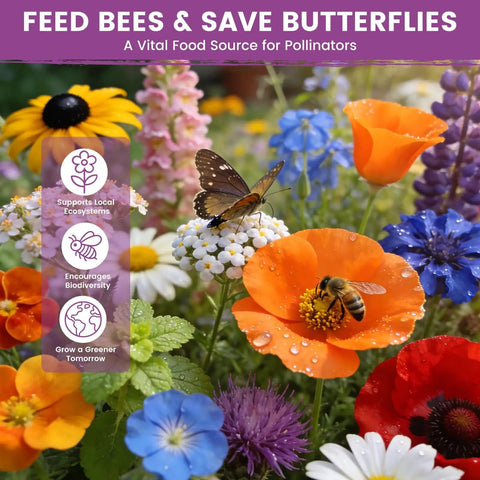 American Meadow Magic Wildflower Seed Mix Bulk Pack 25 Varieties Non GMO Perennial and Annual Native Seeds for Texas California and Florida Attract Hummingbirds Butterflies and Beautiful Cut Flowers