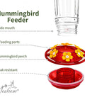 Outdoor Hummingbird Feeder 18 Oz With 6 Bee Guard Ports, Built-In Ant Moat, wide mouth and hummingbird perch design