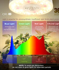 Graph showing light spectrum effectiveness of Indoor Plant Puck Grow Light With Timer 660nm Red LEDs 36W Four Pack Full Spectrum