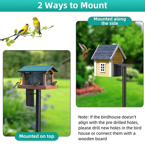 Heavy Duty Outdoor Bird Feeder Pole Kit With 60 Inch Ground Mount, 5 Prong Base, Adjustable Feeding Stand For Bird Watching And Weather Station