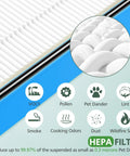 Must Have True HEPA Filter Kit With Carbon Boosters For Aer1 Total Air Purifiers showing filter layers and pollutants reduced