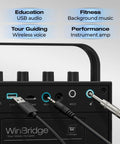 60W Bluetooth Karaoke Speaker And Wireless PA System With Dual Microphones ports and inputs for connectivity