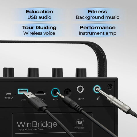 60W Bluetooth Karaoke Speaker And Wireless PA System With Dual Microphones ports and inputs for connectivity
