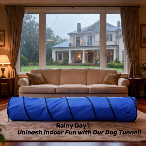 Foldable 10 Foot Dog Agility Tunnel with Carry Bag and Ground Spikes, Portable Training Gear for Park Days, Backyard or Indoor Use