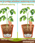 Six Pack Ceramic Water Sensor Set For Plants Moisture Monitor And Humidity Meter Cute Garden Decor For Potted Plants And Houseplants Easy Plant Care Tool Great Gift For Garden Lovers, ceramic snail sensor in pot