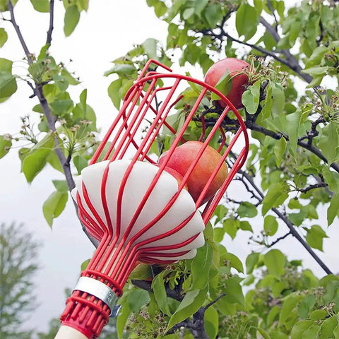 Game Changer Fruit Picker Pole With Large Metal Basket And Long Adjustable Handle, picking apples from tree