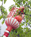 Adjustable 8 Ft Fruit Picker Pole With Large Metal Basket And Soft Pad harvesting apples from tree branches