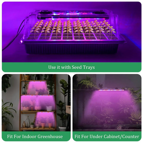 2 Pack 80 Cell Seed Starter Kit With Humidity Dome And Grow Light Adjustable Brightness And Smart Timer in indoor settings