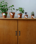 Wooden cabinet with 8 Piece Black Barn Door Handles for Wooden Fences and Cabinets, topped with potted plants