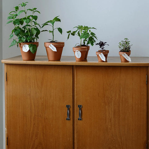 Wooden cabinet with 8 Piece Black Barn Door Handles for Wooden Fences and Cabinets, topped with potted plants