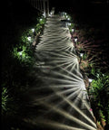 Sweet 6 Pack Silver Solar Path Lights With Glass Lens cast starburst pattern on walkway, extra bright LEDs, 2023 design.