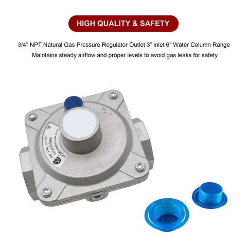 Angled view of a gray metal natural gas pressure regulator with blue protective caps.