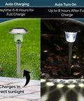 LED Solar Powered Outdoor Landscape Path Lights With Stainless Steel And Glass Lens, day and night view, IP44 Waterproof.