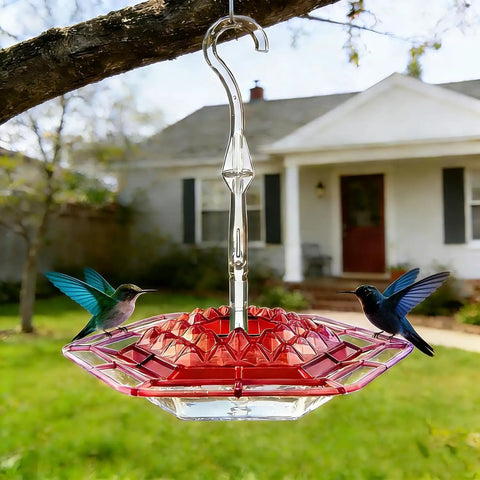 Two Pack Outdoor Hanging Hummingbird Feeders 16 Ounce Capacity With 30 Bee Proof And Leak Proof Feeding Ports Easy Clean Bird Feeder