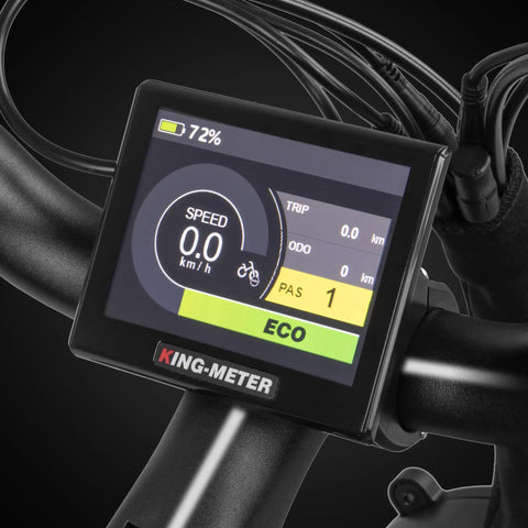 Adult Electric Bike In Sleek Black With Sturdy Cargo Rack Featuring Zippy Motor Pedal Assist dashboard display showing speed and battery.