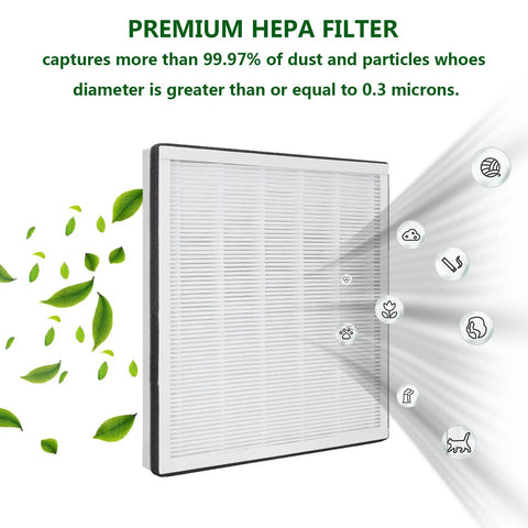 Premium HEPA filter capturing dust and particles, Replacement True HEPA Filter For RP-AP001 AP001S RP-AP002 Air Purifier
