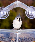 Bird feeder with clear plastic design and suction cups, featuring a small bird perched and seeds inside, against a blurred natural background.