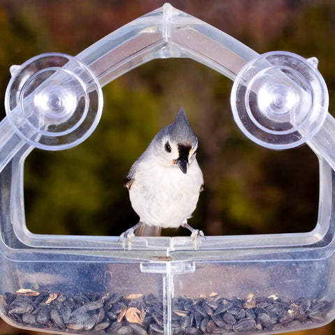 Bird feeder with clear plastic design and suction cups, featuring a small bird perched and seeds inside, against a blurred natural background.