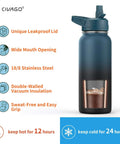 32 Oz Insulated Water Bottle With Straw Spout And Handle Lid Stainless Steel Sports Flask with features list