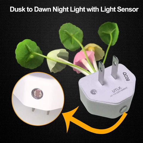 Two Pack Plug In LED Mushroom Night Lights With Dusk To Dawn Sensor Color Changing Bed Night Light Soft Cozy Glow For Kid Friendly Room Hallway Nursery Bedroom Living Room Wall Lamp