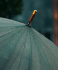 Top Shelf Black Plastic Umbrella Tip Protector Caps For Long Handle Canes And Patio Parasols on a green umbrella canopy.