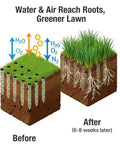 Soil aeration before and after using Step Through Lawn Aerator Tool With Full Foot Pedal displaying improved root growth.
